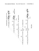 Human Lambda Light Chain Mice diagram and image