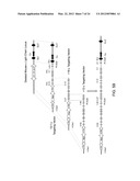 Human Lambda Light Chain Mice diagram and image