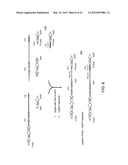 Human Lambda Light Chain Mice diagram and image