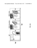 Human Lambda Light Chain Mice diagram and image