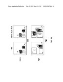 Human Lambda Light Chain Mice diagram and image