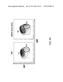 Human Lambda Light Chain Mice diagram and image