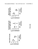 Human Lambda Light Chain Mice diagram and image