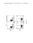 Human Lambda Light Chain Mice diagram and image