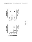 Human Lambda Light Chain Mice diagram and image