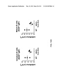 Human Lambda Light Chain Mice diagram and image