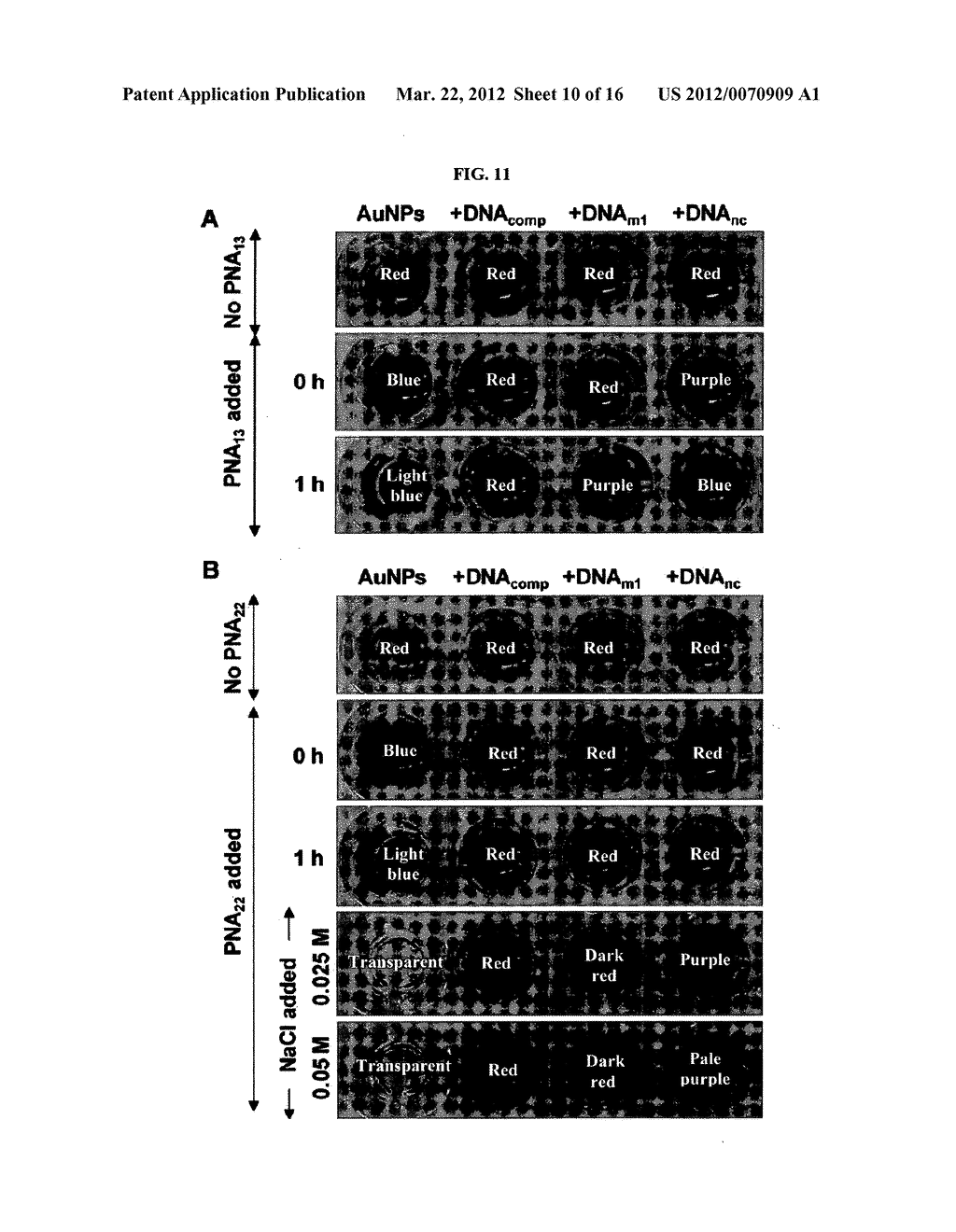 LABEL-FREE METHOD FOR DETECTING PRESENCE OR ABSENCE OF NUCLEIC ACIDS - diagram, schematic, and image 11