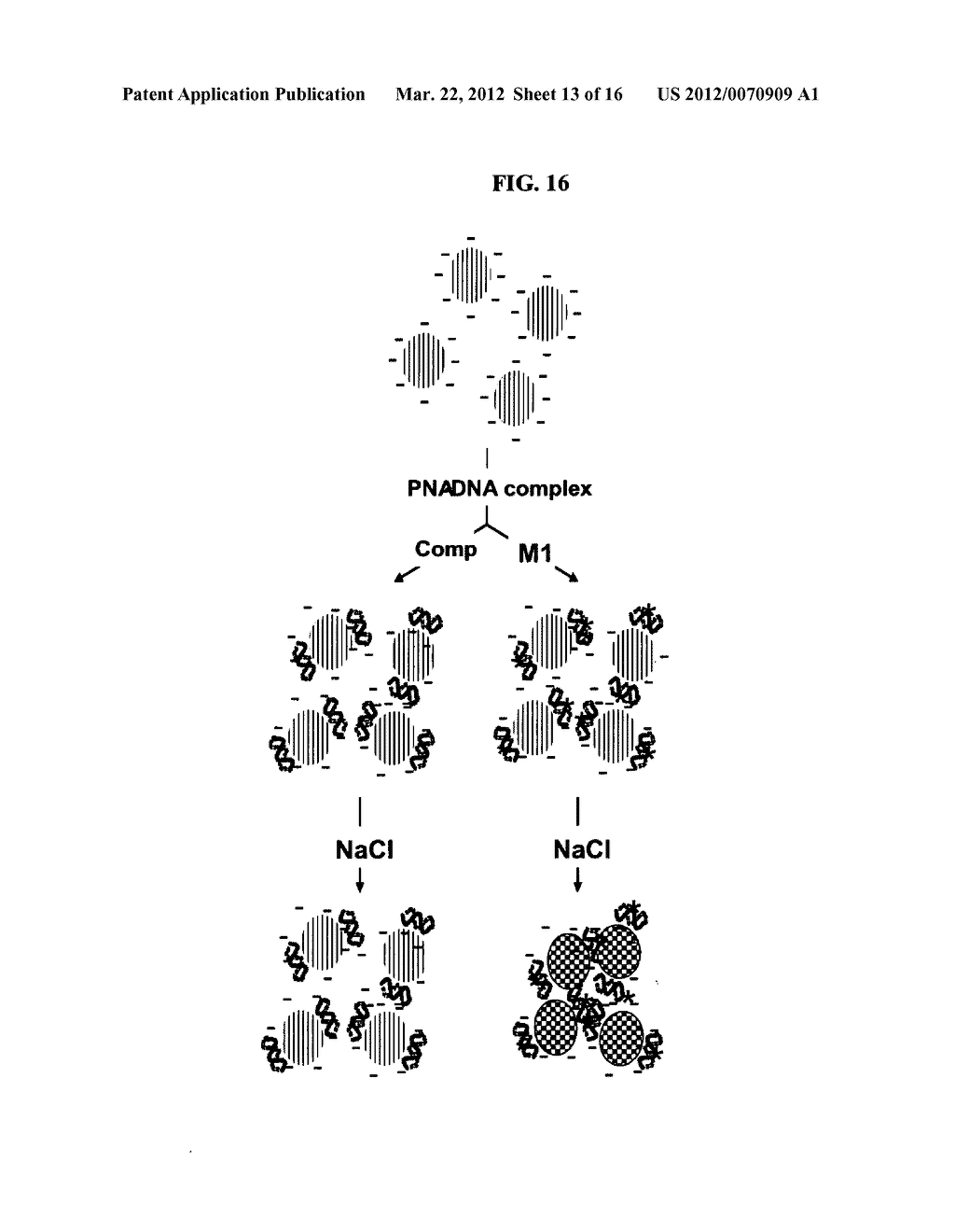 LABEL-FREE METHOD FOR DETECTING PRESENCE OR ABSENCE OF NUCLEIC ACIDS - diagram, schematic, and image 14