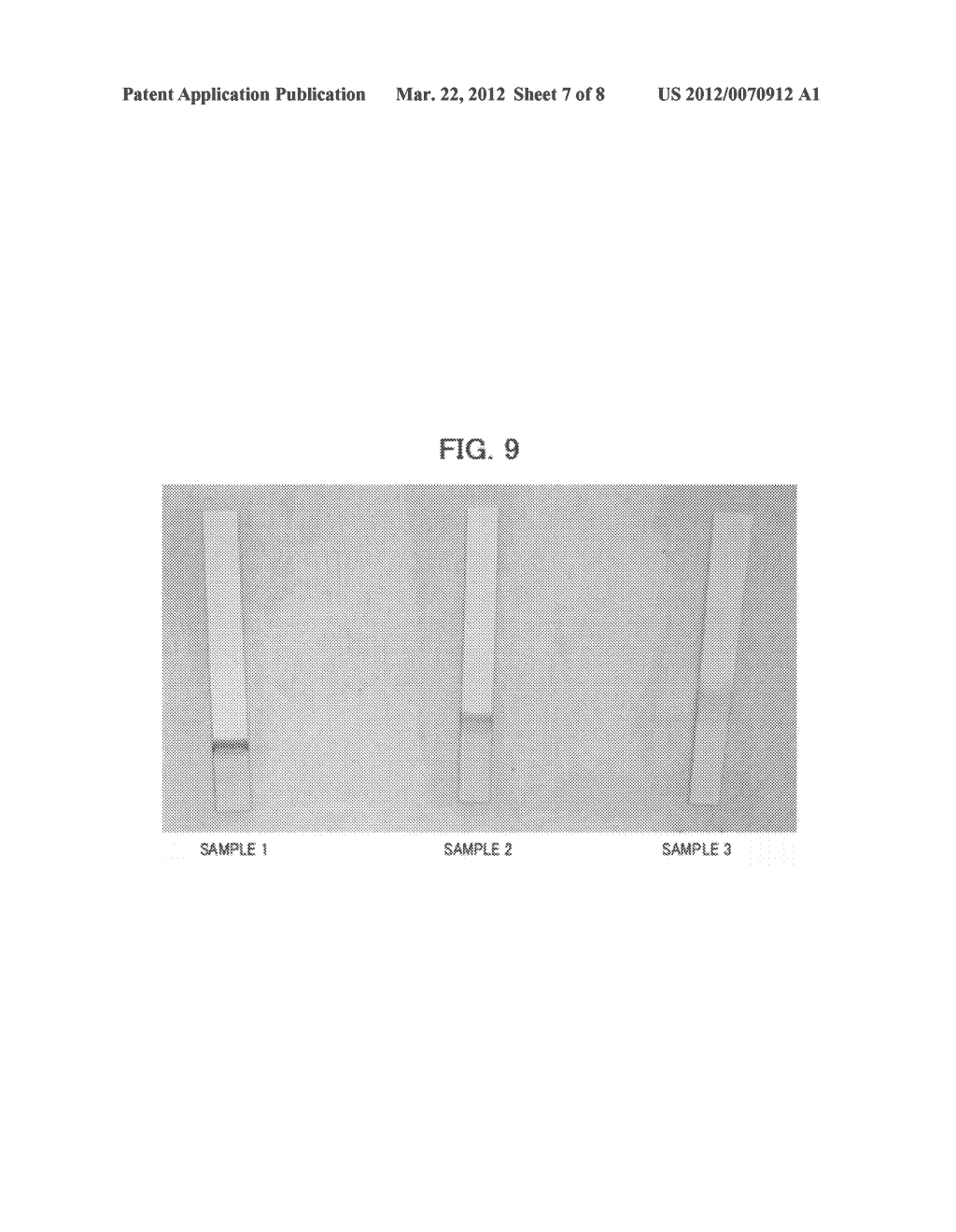 DETECTION METHOD AND QUANTIFICATION METHOD FOR TARGET SUBSTANCE - diagram, schematic, and image 08