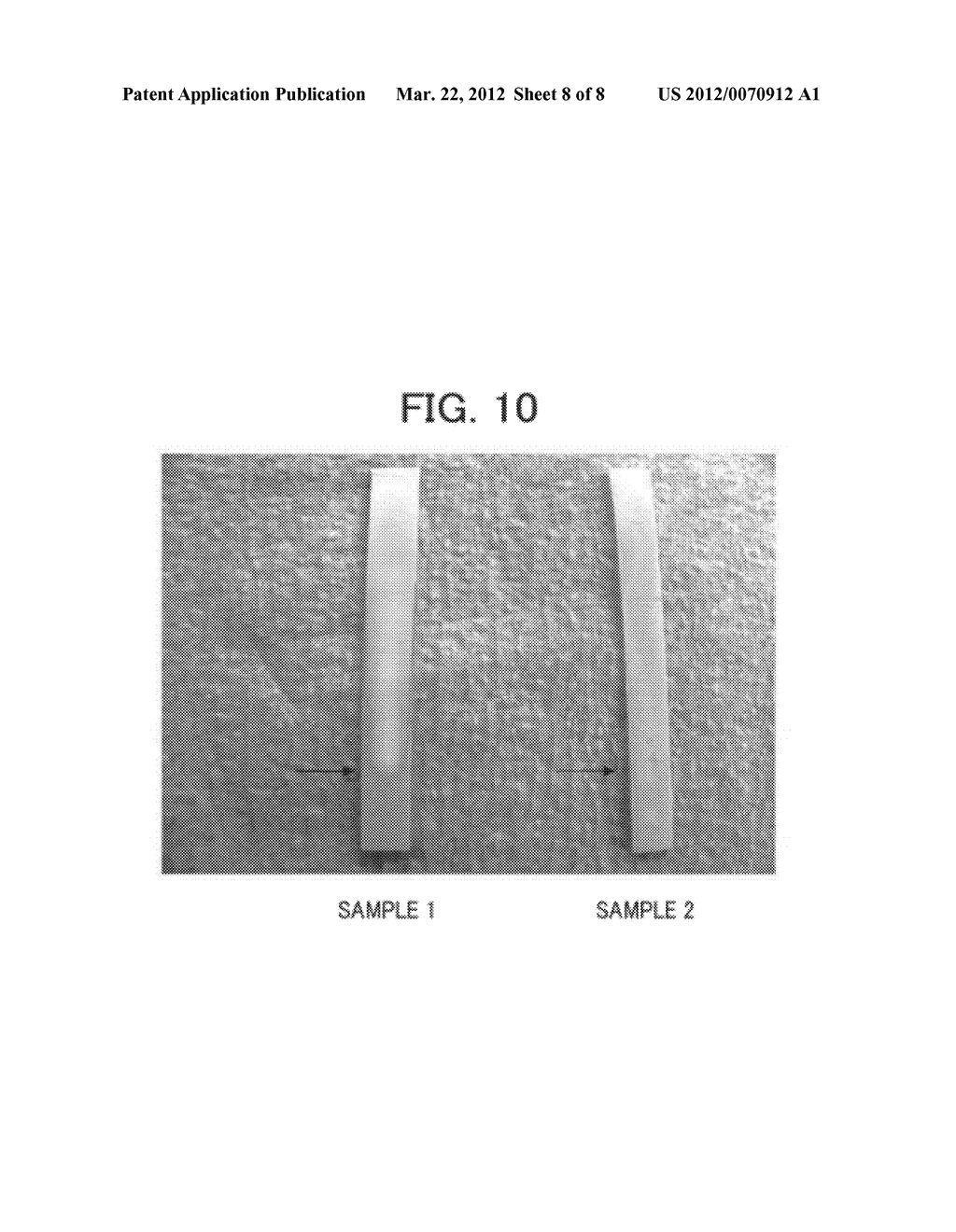 DETECTION METHOD AND QUANTIFICATION METHOD FOR TARGET SUBSTANCE - diagram, schematic, and image 09