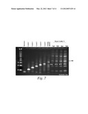 METHODS FOR IDENTIFYING COMPOUNDS OF INTEREST USING ENCODED LIBRARIES diagram and image