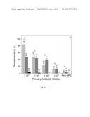 POLYMERIZATION-BASED AMPLIFICATION FOR IMMUNOSTAINING AND BIODETECTION diagram and image