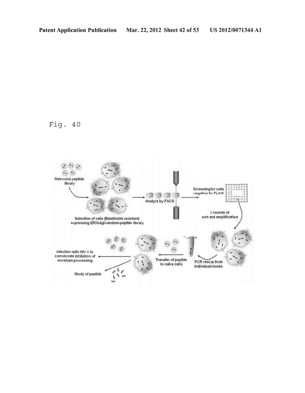 COMPOSITIONS AND METHODS FOR IDENTIFYING ENZYME AND TRANSPORT PROTEIN     INHIBITORS - diagram, schematic, and image 43