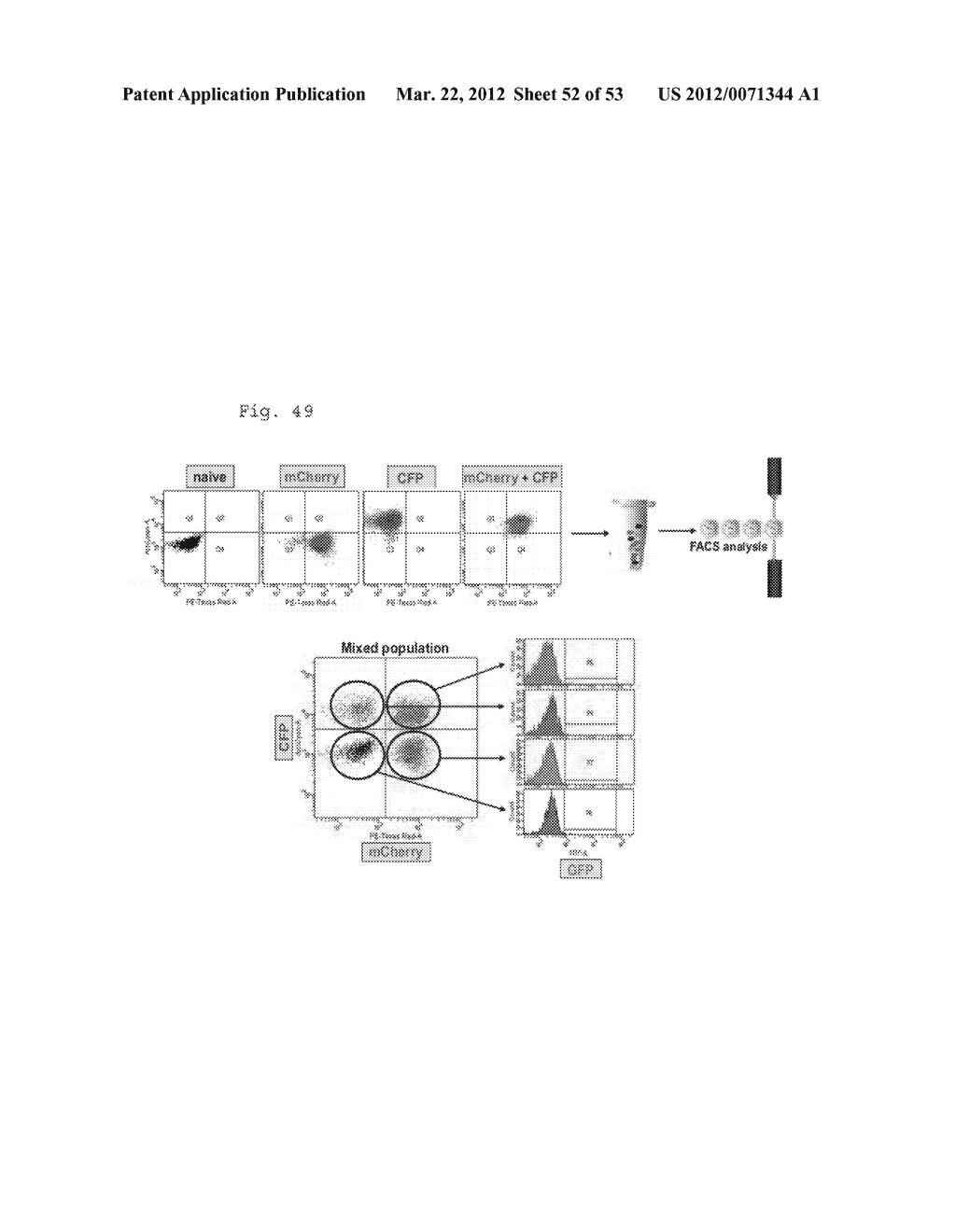 COMPOSITIONS AND METHODS FOR IDENTIFYING ENZYME AND TRANSPORT PROTEIN     INHIBITORS - diagram, schematic, and image 53