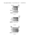 NOVEL ANTI-AGING AGENTS AND METHODS TO IDENTIFY THEM diagram and image