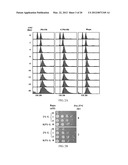 NOVEL ANTI-AGING AGENTS AND METHODS TO IDENTIFY THEM diagram and image