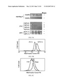 NOVEL ANTI-AGING AGENTS AND METHODS TO IDENTIFY THEM diagram and image