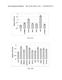 NOVEL ANTI-AGING AGENTS AND METHODS TO IDENTIFY THEM diagram and image