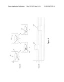 PURIFIED EXTENDED POLYMERASE/TEMPLATE COMPLEX FOR SEQUENCING diagram and image