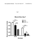 METHOD OF TREATING WOUNDS diagram and image