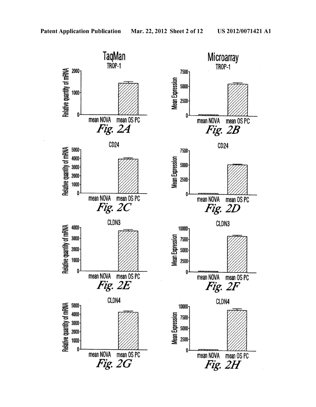 THERAPY WITH CLOSTRIDIUM PERFRINGENS ENTEROTOXIN TO TREAT OVARIAN AND     UTERINE CANCER - diagram, schematic, and image 03