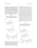 SUBSTITUTED NUCLEOTIDE ANALOGS diagram and image