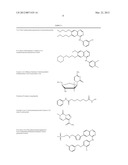 PHARMACEUTICAL COMBINATIONS COMPRISING FOR THE TREATMENT OF SPECIFIC     CANCERS diagram and image