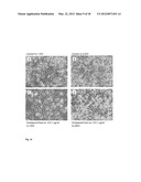 STEROIDE ANIONIC COMPOUNDS, METHOD OF THEIR PRODUCTION, USAGE AND     PHARMACEUTICAL PREPARATION INVOLVING THEM diagram and image