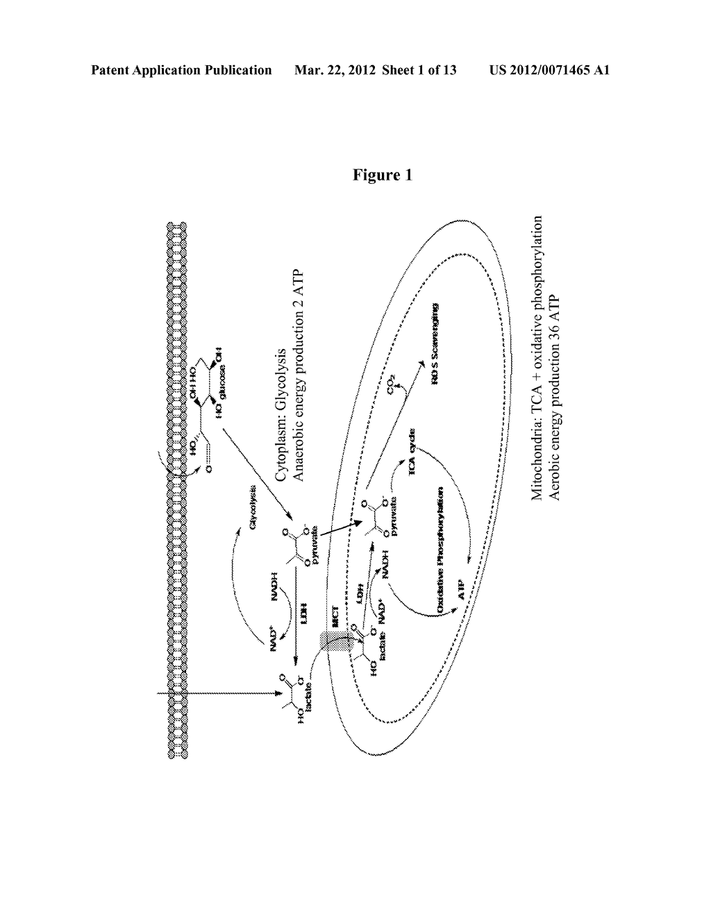 MITOCHONDRIAL ACTIVITY INHIBITORS OF CANCER-INITIATING CELLS AND USE     THEREOF - diagram, schematic, and image 02