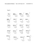 CDKI PATHWAY INHIBITORS AND USES THEREOF diagram and image