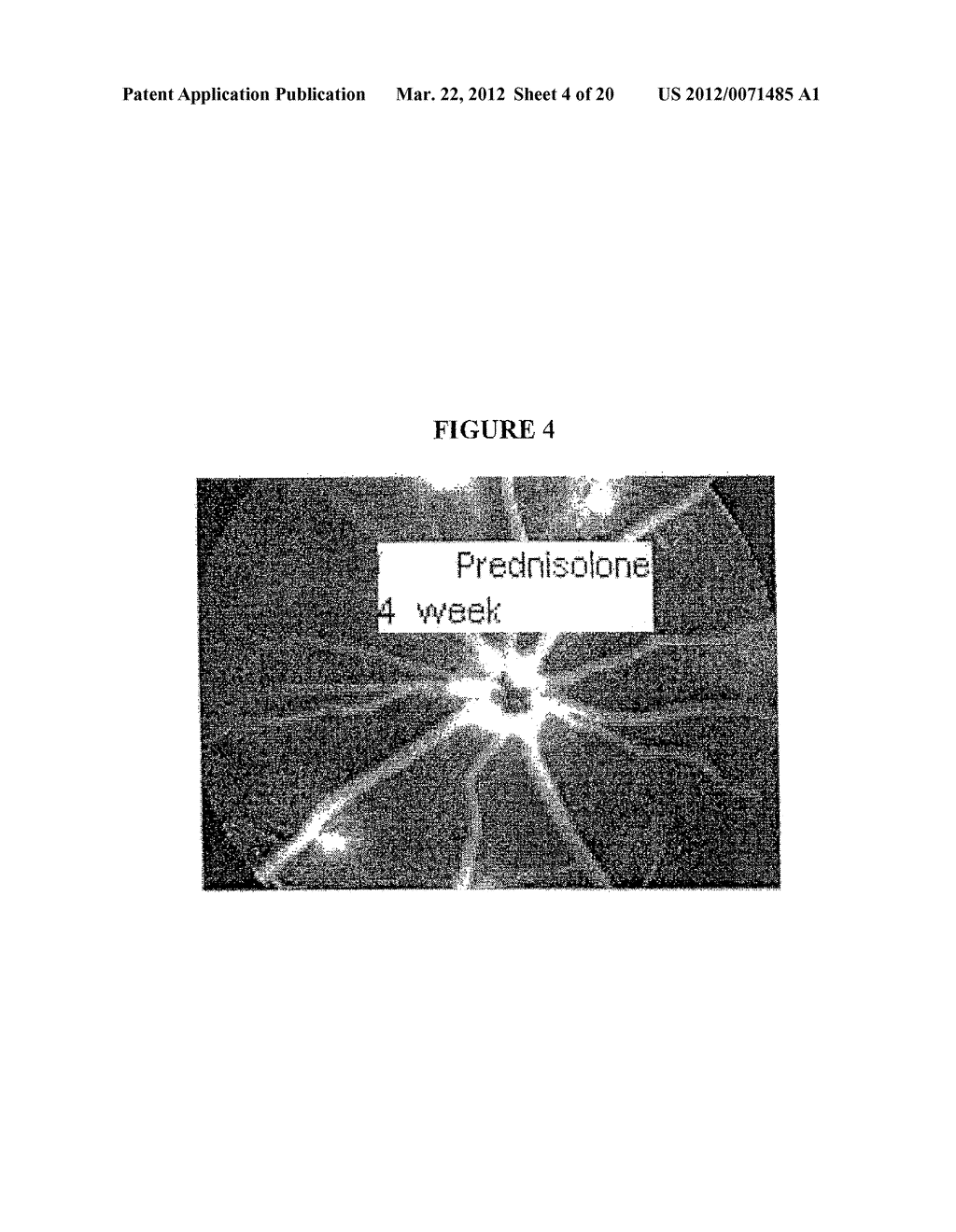 Therapeutic Compositions And Methods - diagram, schematic, and image 05