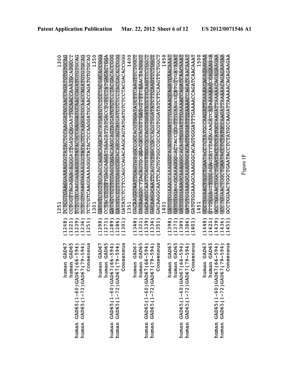 Novel Glutamic Acid Decarboxylase (GAD) Chimera And Methods Of Use - diagram, schematic, and image 07