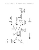 ORGANOSILICA NANOPARTICLES AND METHOD FOR MAKING diagram and image