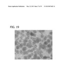 ORGANOSILICA NANOPARTICLES AND METHOD FOR MAKING diagram and image