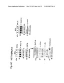 MITOCHONDRIAL LOCALIZATION OF MUC1 diagram and image