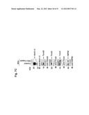 MITOCHONDRIAL LOCALIZATION OF MUC1 diagram and image