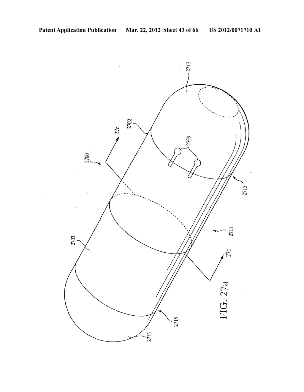 ENDOSCOPIC SMART PROBE AND METHOD - diagram, schematic, and image 44