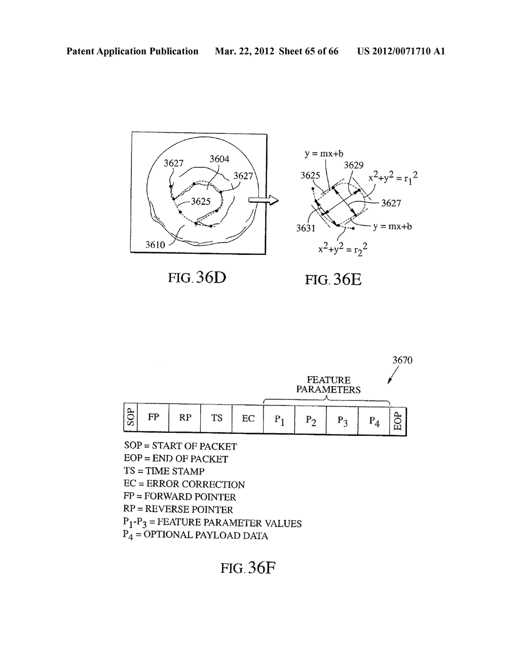 ENDOSCOPIC SMART PROBE AND METHOD - diagram, schematic, and image 66