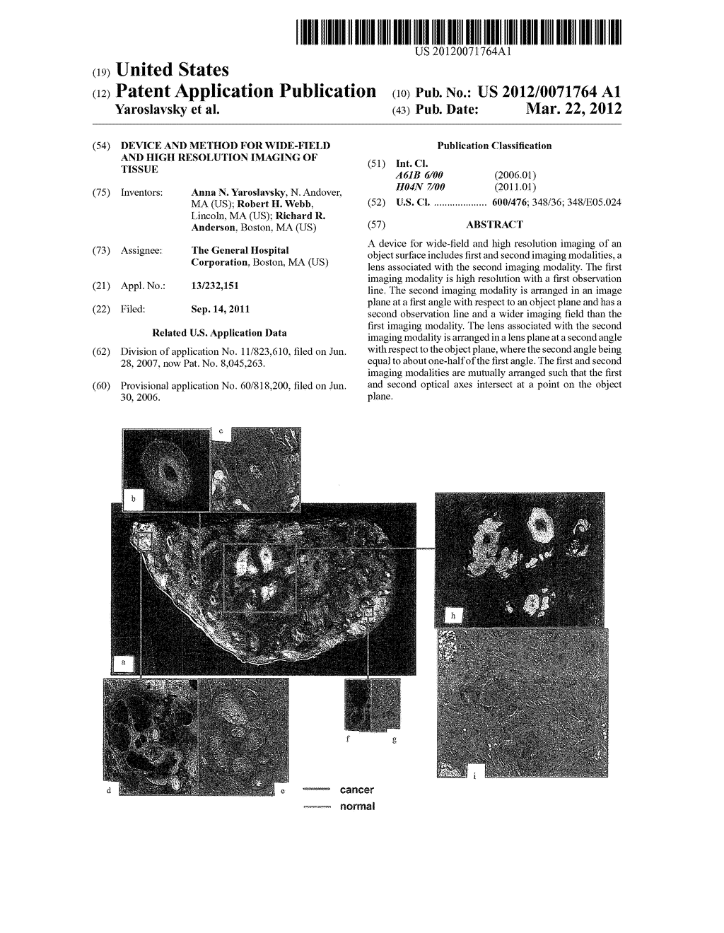 DEVICE AND METHOD FOR WIDE-FIELD AND HIGH RESOLUTION IMAGING OF TISSUE - diagram, schematic, and image 01