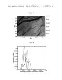 METHODS OF PRODUCING LASER SPECKLE CONTRAST IMAGES diagram and image