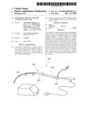 SYSTEMS FOR TREATING A HOLLOW ANATOMICAL STRUCTURE diagram and image