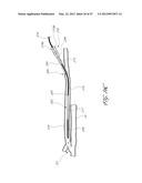 SYSTEMS FOR TREATING A HOLLOW ANATOMICAL STRUCTURE diagram and image