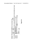 SYSTEM AND METHOD FOR DEAL MANAGEMENT OF SYNDICATED LOANS BY MULTIPLE     BOOKRUNNERS diagram and image