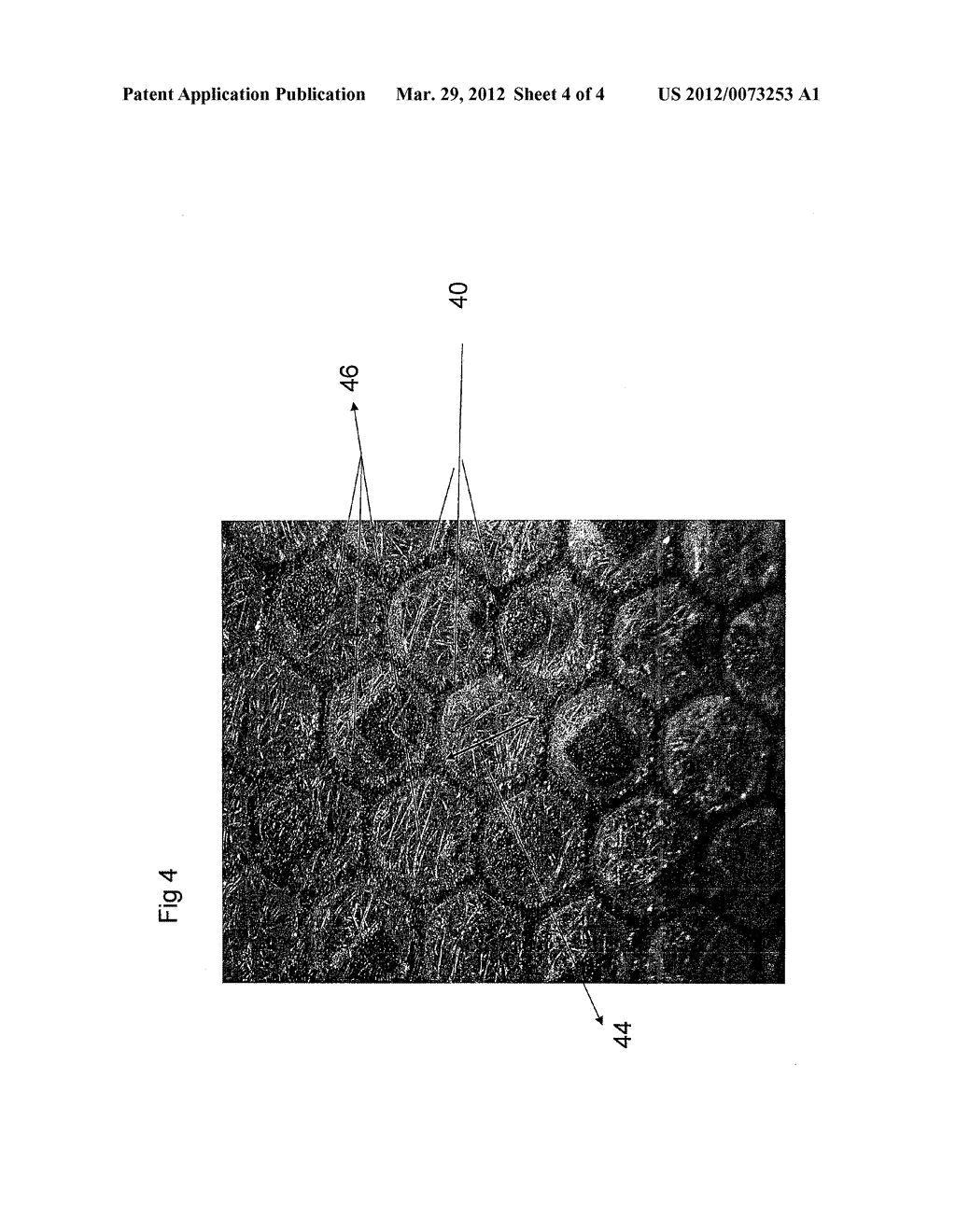 LOW FIBER RECIRCULATION FILTER - diagram, schematic, and image 05