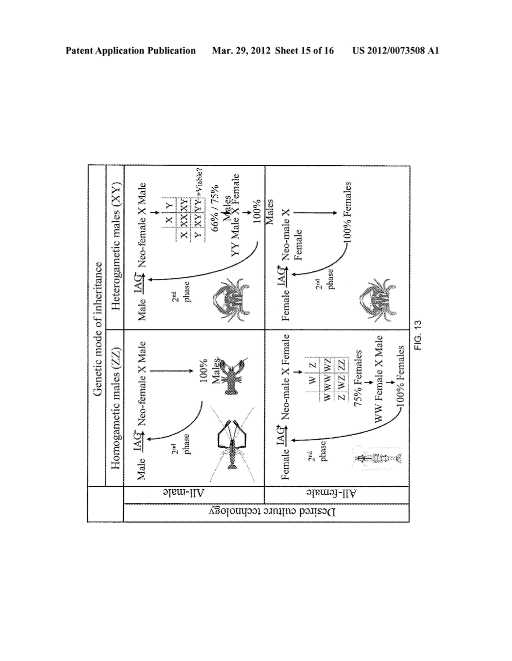 INSULIN-LIKE GENE IN PRAWNS AND USES THEREOF - diagram, schematic, and image 16