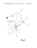 Pet Accessory Pendant diagram and image