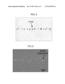 METHOD OF EVALUATING CENTER SEGREGATION OF CONTINUOUS CAST SLAB diagram and image