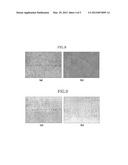 METHOD OF EVALUATING CENTER SEGREGATION OF CONTINUOUS CAST SLAB diagram and image