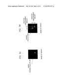 METHOD AND APPARATUS FOR REVIEWING DEFECTS diagram and image