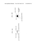 METHOD AND APPARATUS FOR REVIEWING DEFECTS diagram and image